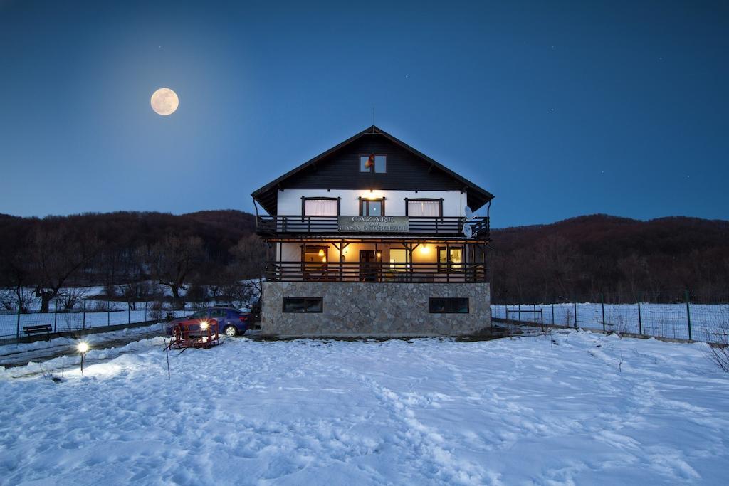 Casa Georgescu Hotel ริชนอฟ ภายนอก รูปภาพ